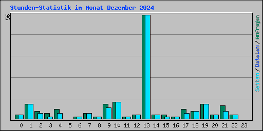 Stunden-Statistik im Monat Dezember 2024