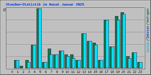 Stunden-Statistik im Monat Januar 2025