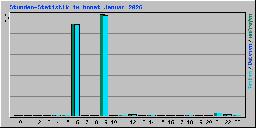 Stunden-Statistik im Monat Januar 2026