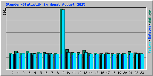 Stunden-Statistik im Monat August 2025