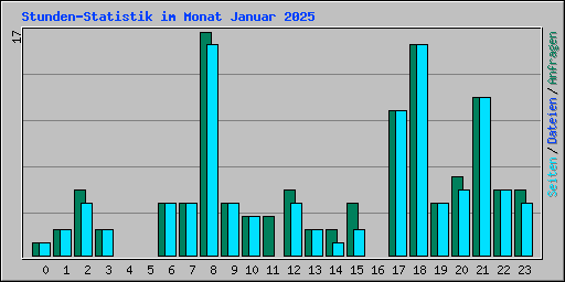 Stunden-Statistik im Monat Januar 2025