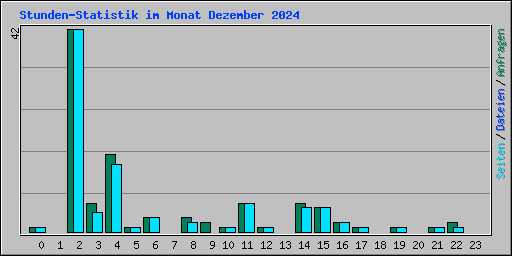 Stunden-Statistik im Monat Dezember 2024