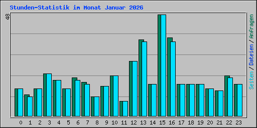 Stunden-Statistik im Monat Januar 2026