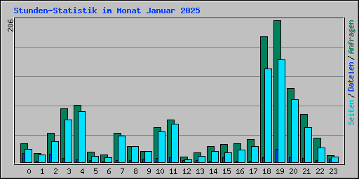 Stunden-Statistik im Monat Januar 2025