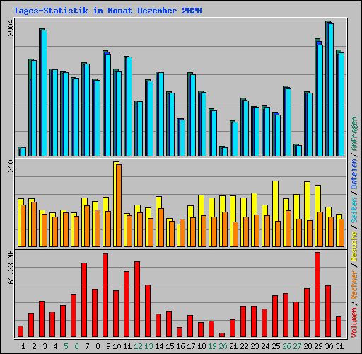 Tages-Statistik im Monat Dezember 2020