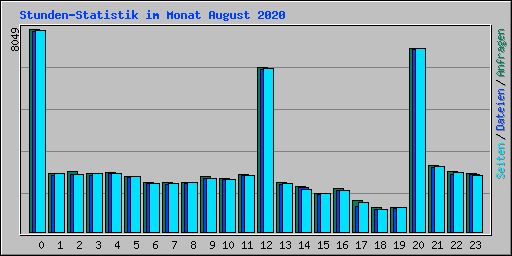 Stunden-Statistik im Monat August 2020