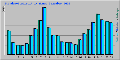 Stunden-Statistik im Monat Dezember 2020