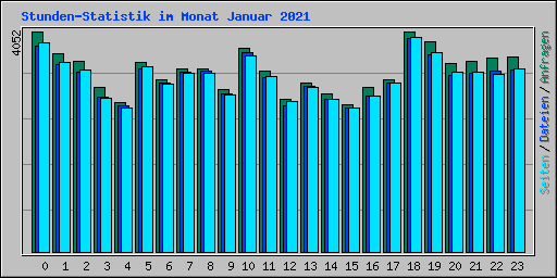 Stunden-Statistik im Monat Januar 2021