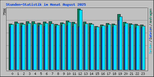 Stunden-Statistik im Monat August 2025