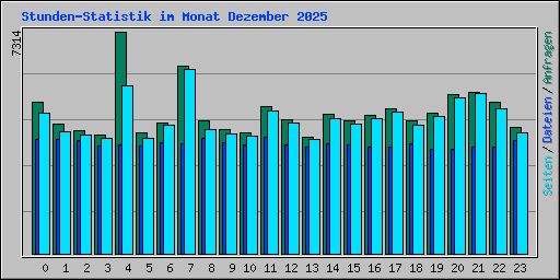 Stunden-Statistik im Monat Dezember 2025