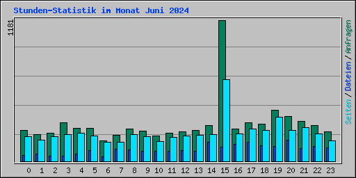 Stunden-Statistik im Monat Juni 2024
