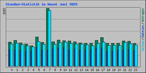 Stunden-Statistik im Monat Juni 2025