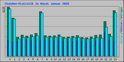 Stunden-Statistik im Monat Januar 2026